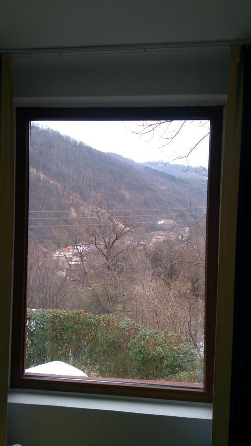 Guest House Alfa Daniel Balkanets  Exterior photo